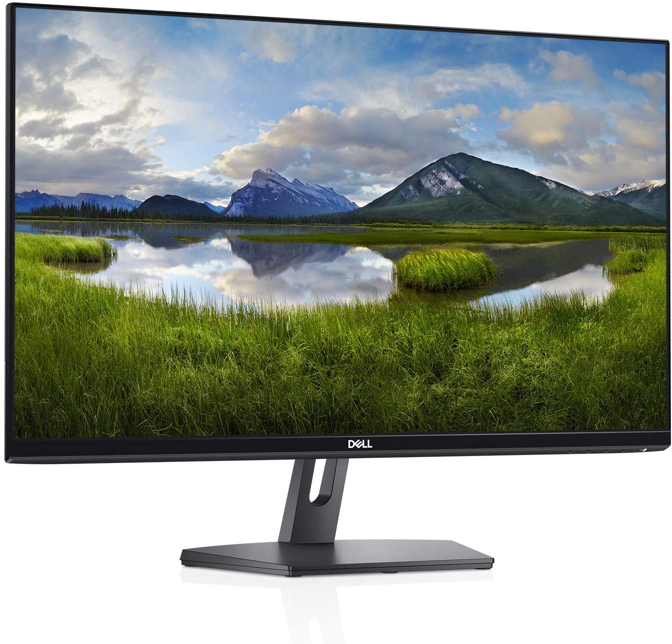 Dell 24 Inch PC Monitor SE2419Hx IPS Full HD (1920 x 1080) Monitor, Black